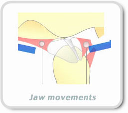 TMJ Movement